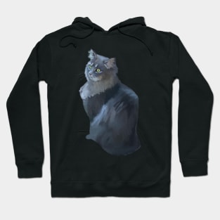 Gray Long Haired Cat Sitting Hoodie